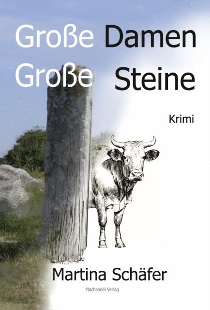Martina Schafer - Große Damen, große Steine, E-bok