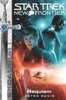 Peter David - Star Trek New Frontier 7, Häftad