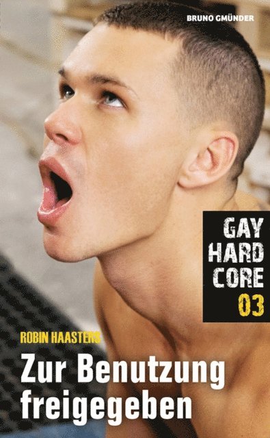 Robin Haasters - Gay Hardcore 03: Zur Benutzung freigegeben, E-bok