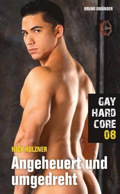 Nick Holzner - Gay Hardcore 08: Angeheuert und umgedreht, E-bok