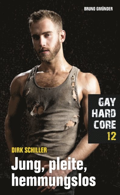 Dirk Schiller - Gay Hardcore 12: Jung, pleite, hemmungslos, E-bok