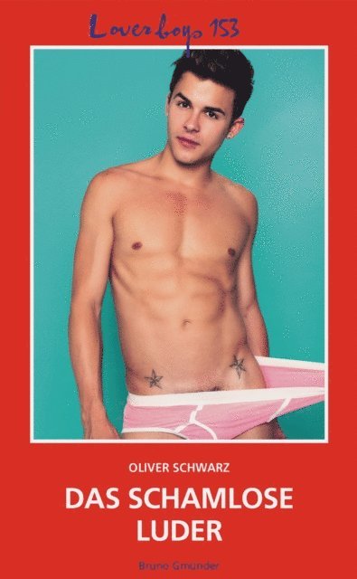 Oliver Schwarz - Loverboys 153: Das schamlose Luder, E-bok