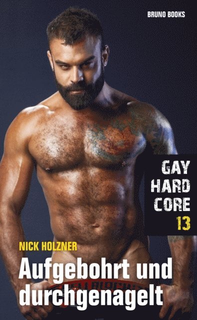 Nick Holzner - Gay Hardcore 13: Aufgebohrt und durchgenagelt, E-bok