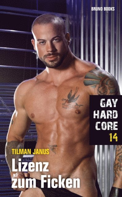 Tilman Janus - Gay Hardcore 14: Lizenz zum Ficken, E-bok