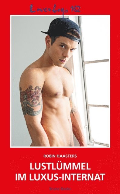 Robin Haasters - Loverboys 162: Lustlümmel im Luxus-Internat, E-bok