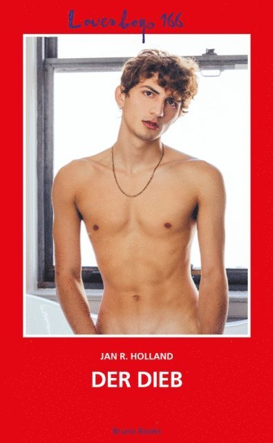 Jan R. Holland - Loverboys 166: Der Dieb, E-bok