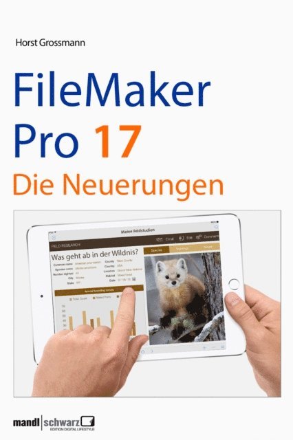 Horst Grossmann - FileMaker Pro 17, E-bok