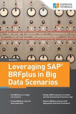 Tom Zamir - Leveraging SAP BRFplus in Big Data Scenarios, Häftad
