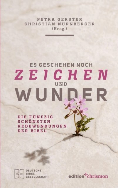 Christian Nurnberger, Petra Gerster - Es geschehen noch Zeichen und Wunder, E-bok