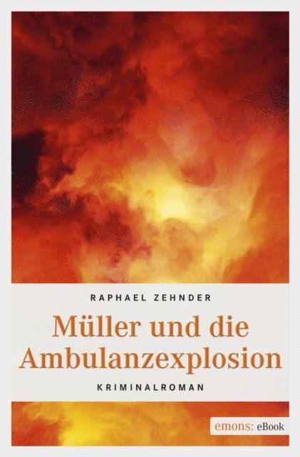 Raphael Zehnder - Müller und die Ambulanzexplosion, E-bok