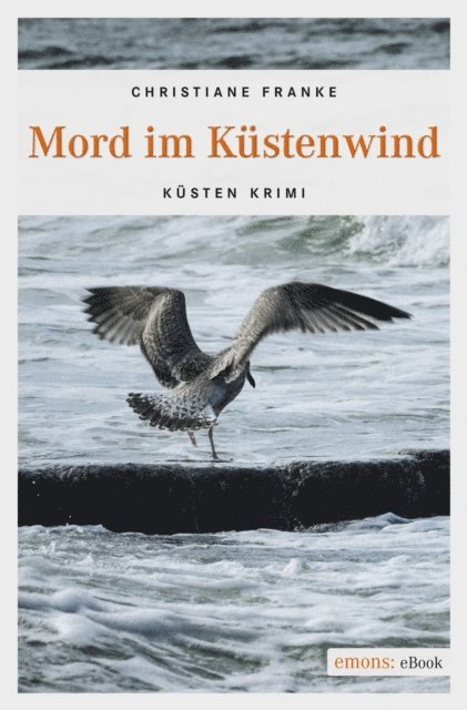 Christiane Franke - Mord im Küstenwind, E-bok