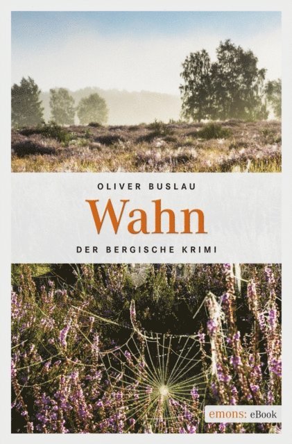 Oliver Buslau - Wahn, E-bok