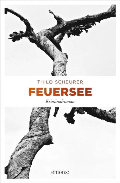 Thilo Scheurer - Feuersee, E-bok