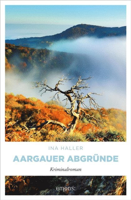 Ina Haller - Aargauer Abgründe, E-bok