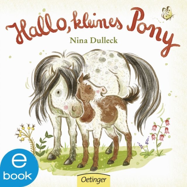 Nina Dulleck - Hallo, kleines Pony!, E-bok