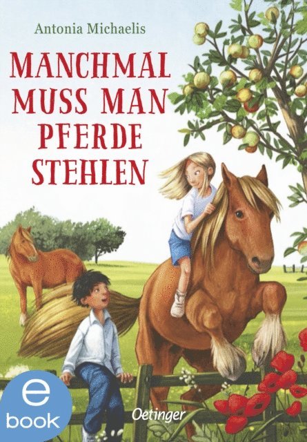 Antonia Michaelis - Manchmal muss man Pferde stehlen, E-bok