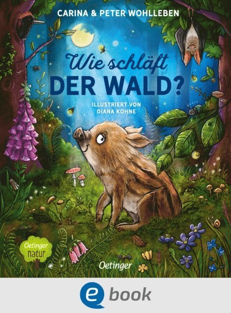 Peter Wohlleben, Carina Wohlleben - Wie schläft der Wald?, E-bok