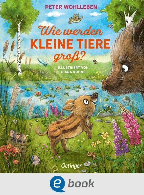 Peter Wohlleben - Wie werden kleine Tiere groß?, E-bok