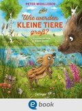 Wie werden kleine Tiere groÿ?