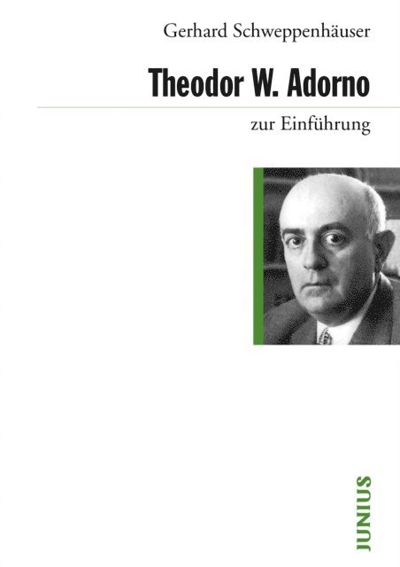 Gerhard Schweppenhauser - Theodor W. Adorno, E-bok
