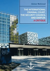 International Criminal Court, the Security Council and Darfur: A Critique