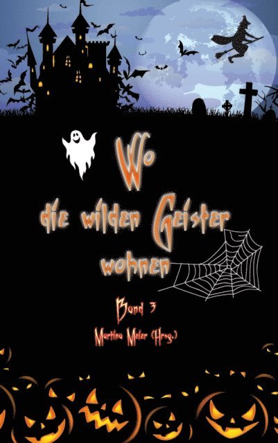 Martina Meier - Wo die wilden Geister wohnen Band 3, E-bok