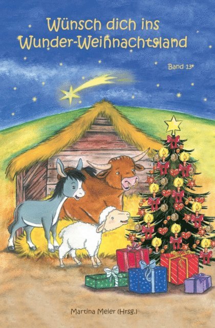 Martina Meier - Wünsch dich ins Wunder-Weihnachtsland Band 13, E-bok