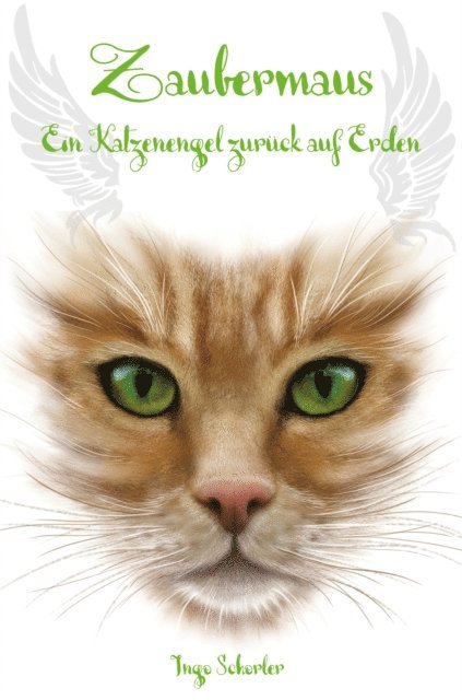 Ingo Schorler - Zaubermaus, E-bok