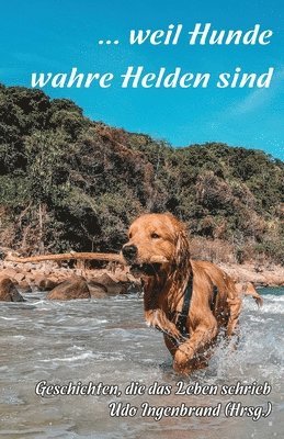 Udo Ingenbrand, Udo Ingenbrand - ... weil Hunde wahre Helden sind, Häftad. Tillgänglighet: Lägg i varukorg