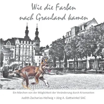 Jörg A Gattwinkel Sac, Judith Zacharias-Hellwig - Wie die Farben nach Grauland kamen, Häftad. Tillgänglighet: Tillfälligt slut