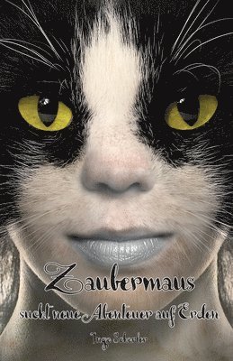 Ingo Schorler - Zaubermaus sucht neue Abenteuer auf Erden, Häftad