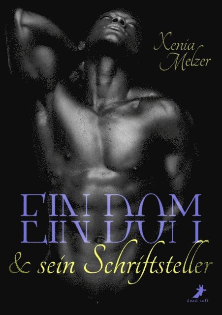 Xenia Melzer - Ein Dom und sein Schriftsteller, E-bok