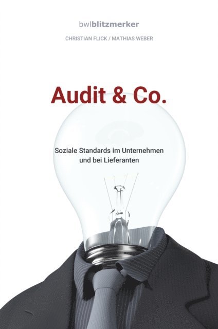 Mathias Weber, Christian Flick - bwlBlitzmerker: Audit & Co., E-bok
