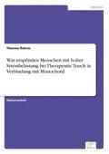 Was empfinden Menschen mit hoher Stressbelastung bei Therapeutic Touch in Verbindung mit Monochord