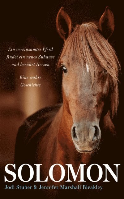 Jennifer Marshall Bleakley, Jodi Stuber - Solomon, E-bok