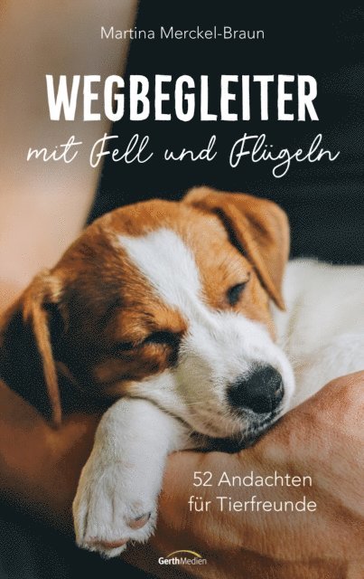 Martina Merckel-Braun - Wegbegleiter mit Fell und Flügeln, E-bok