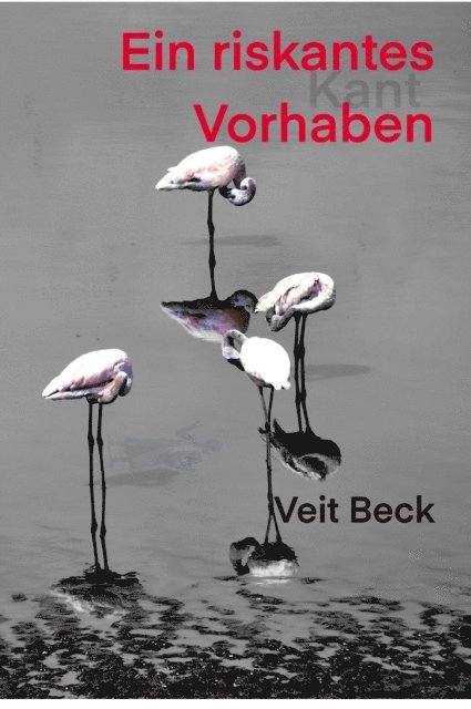 Veit Beck - Ein riskantes Vorhaben, E-bok