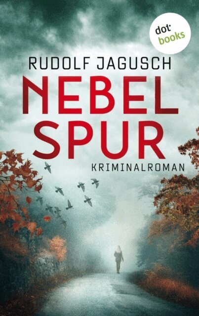 Rudolf Jagusch - Nebelspur, E-bok