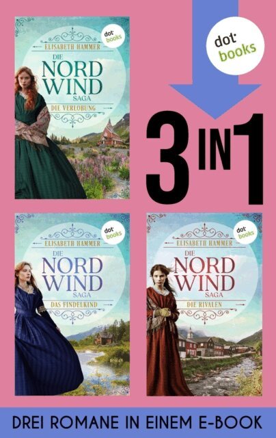 Elisabeth Hammer - Die Nordwind-Saga, E-bok