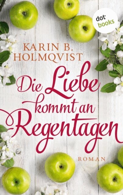 Karin B. Holmqvist - Die Liebe kommt an Regentagen, E-bok