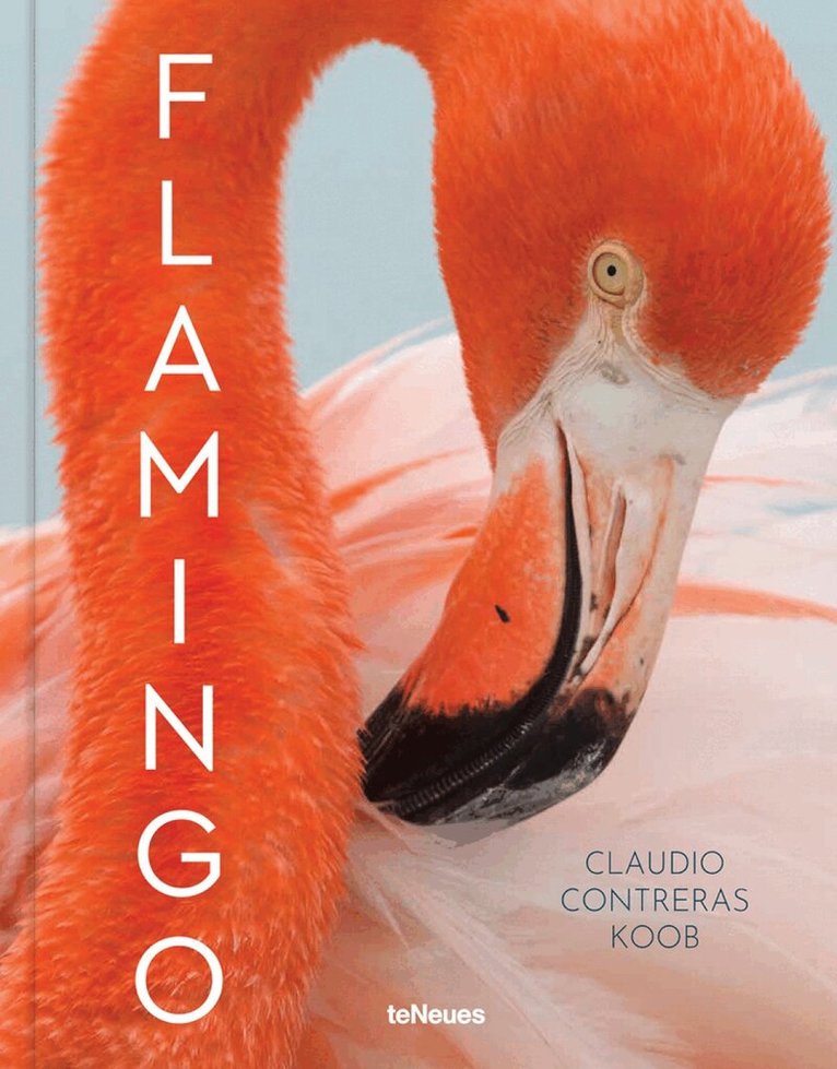Claudio Contreras Koob - Flamingo, Inbunden