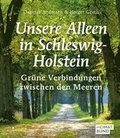 Unsere Alleen in Schleswig-Holstein