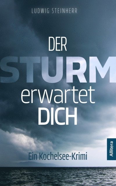 Ludwig Steinherr - Der Sturm erwartet dich, E-bok