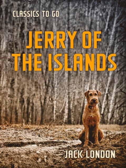 Jack London - Jerry of the Islands, E-bok