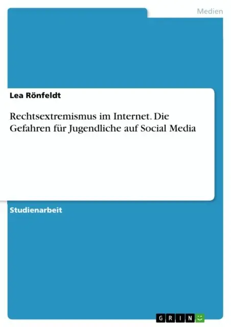 Rechtsextremismus im Internet. Die Gefahren für Jugendliche auf Social Media