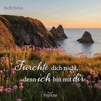 Steffi Baltes - Fürchte dich nicht, denn ich bin bei dir, Häftad. Tillgänglighet: Lägg i varukorg
