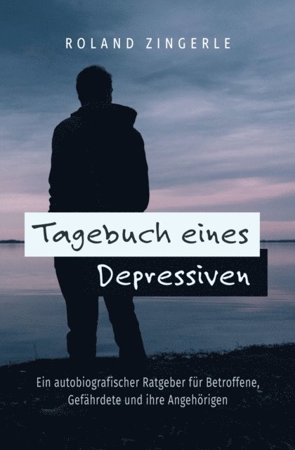 Roland Zingerle - Tagebuch eines Depressiven, E-bok