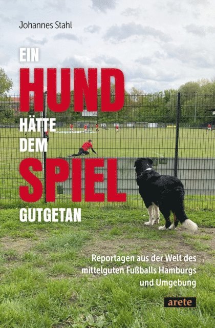 Johannes Stahl - Ein Hund hätte dem Spiel gutgetan, E-bok