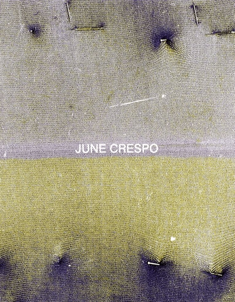 June Crespo - Vieron su casa hacerse campo, Häftad