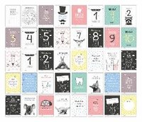 40 Baby Meilenstein-Karten für das 1. Lebensjahr für Mädchen und Junge. Baby Milestone Cards deutsch, zur Erinnerung der Entwicklung der ersten Monate. Geschenk-Set inkl. Box zur Aufbewahrung.
